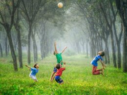 four boy playing ball on green grass